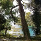 Hiking Rainbow Springs State Park